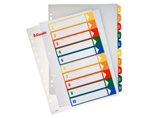 Sadaltjs ESSELTE Project A4 max, 1-12, plastikta